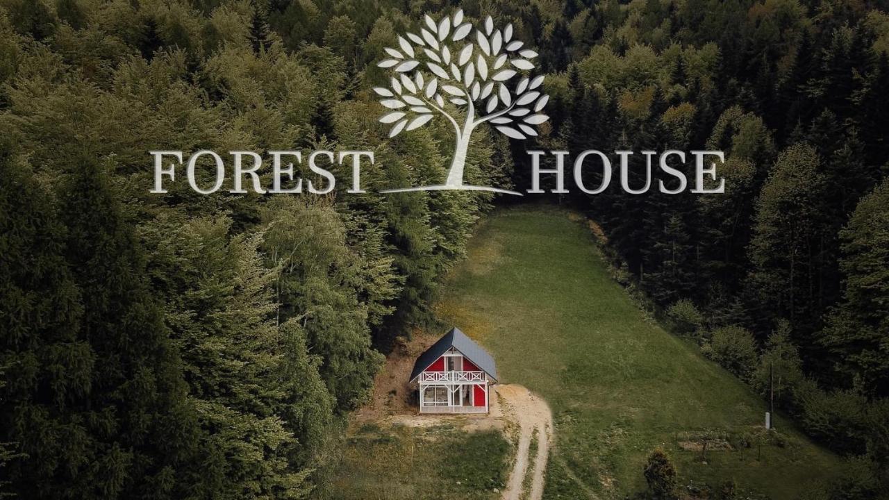 Forest House Targanice Luaran gambar