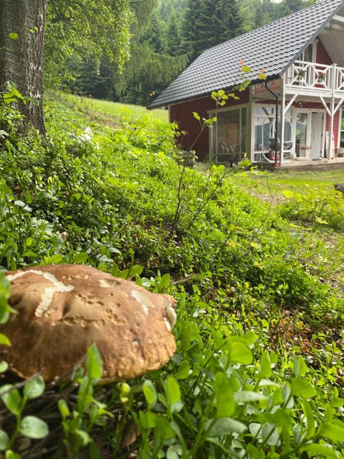 Forest House Targanice Luaran gambar