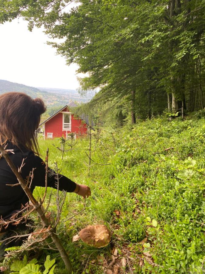 Forest House Targanice Luaran gambar