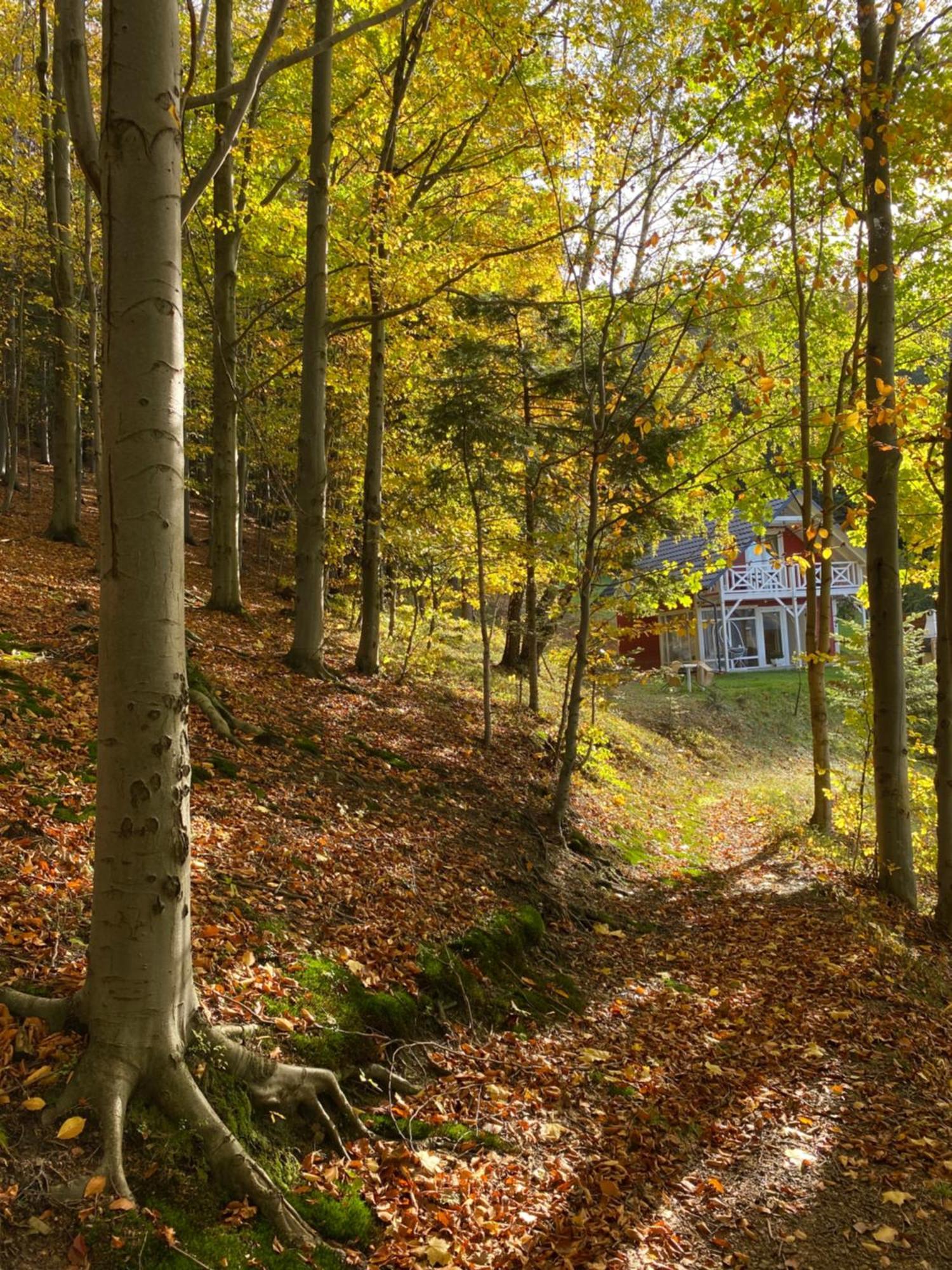 Forest House Targanice Luaran gambar